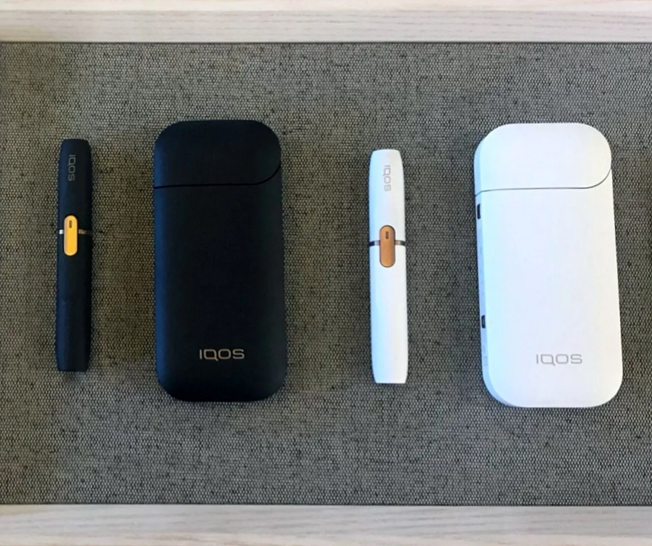 İki farklı renkte IQOS 2.4+ cihazı ve şarj kutusu